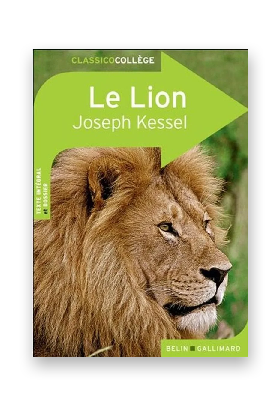 Le Lion