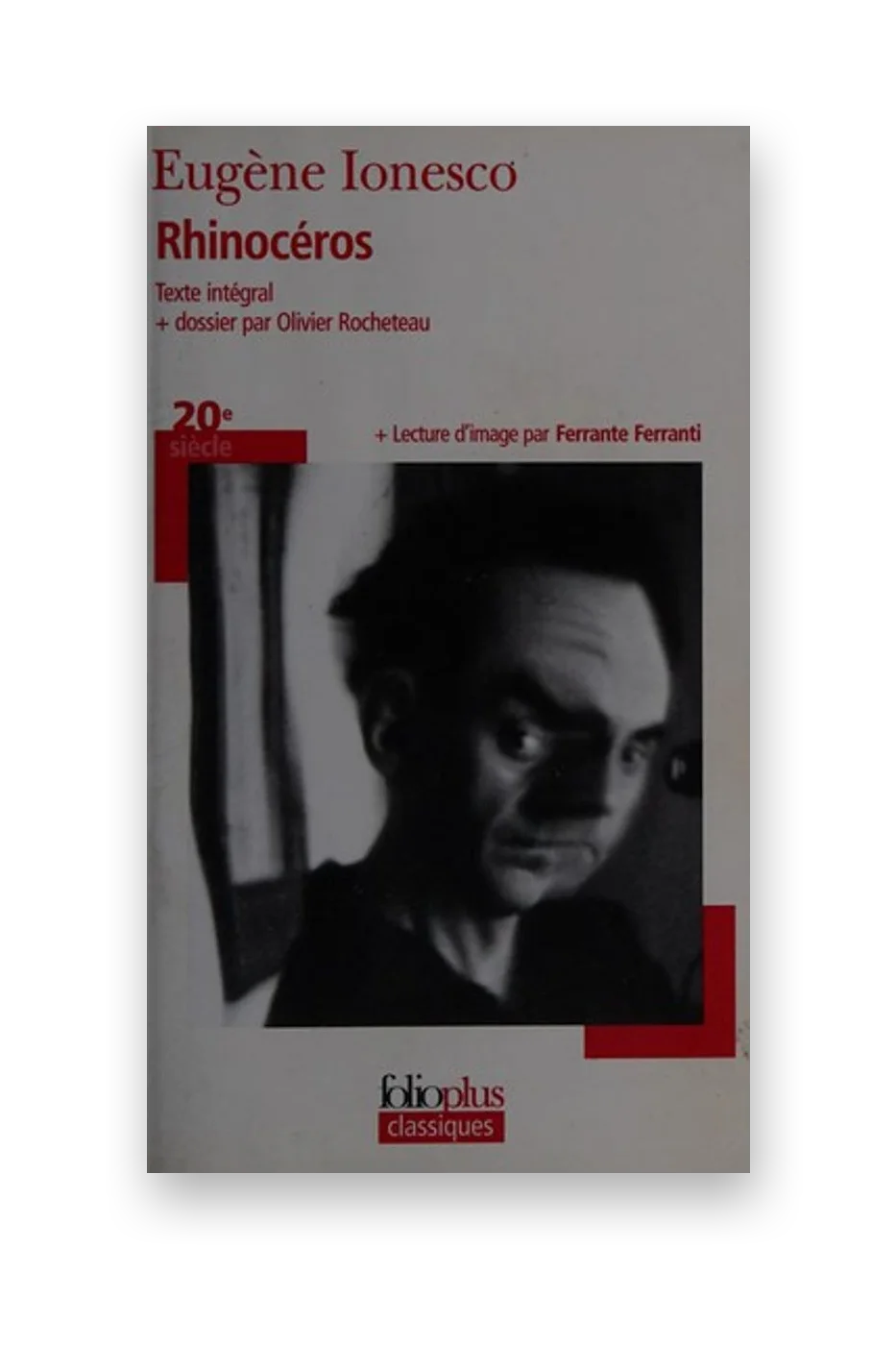 Rhinocéros